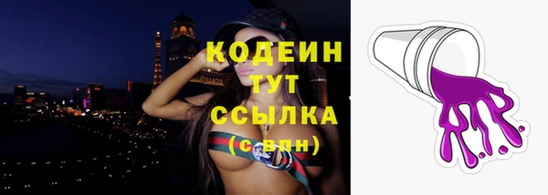 метадон Каменка