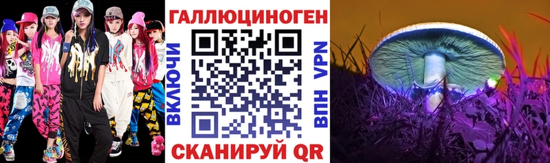 Купить  Медынь  Псилоцибиновые грибы мицелий 