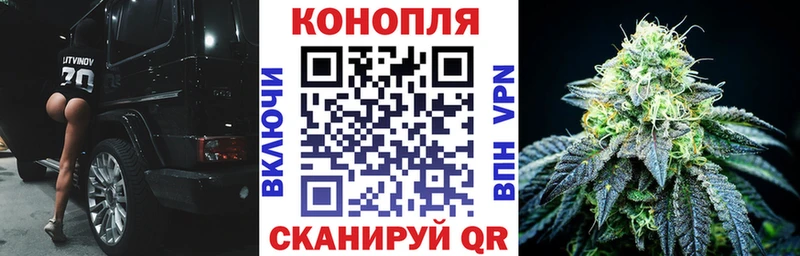 Купить где  Медынь  Каннабис SATIVA & INDICA 